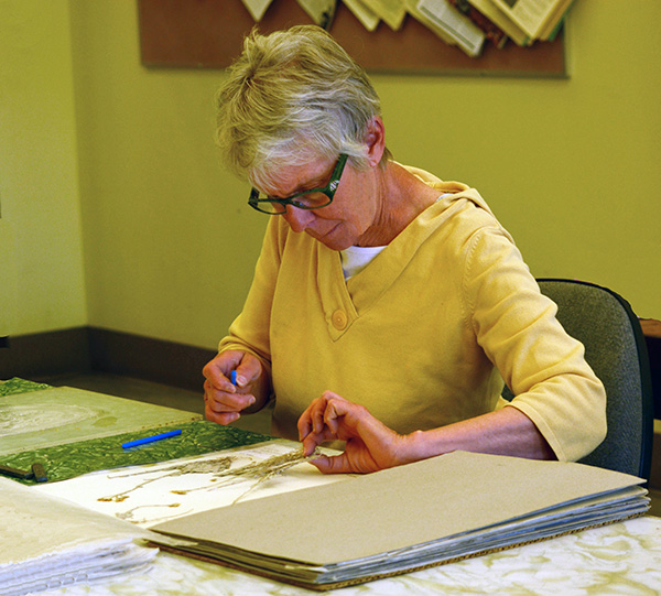 Ruthann Kline, a Member of the Friends of the Rocky Mountain Herbarium works on a Specimen.