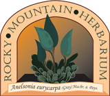 Rocky Mountain Herbaium Logo